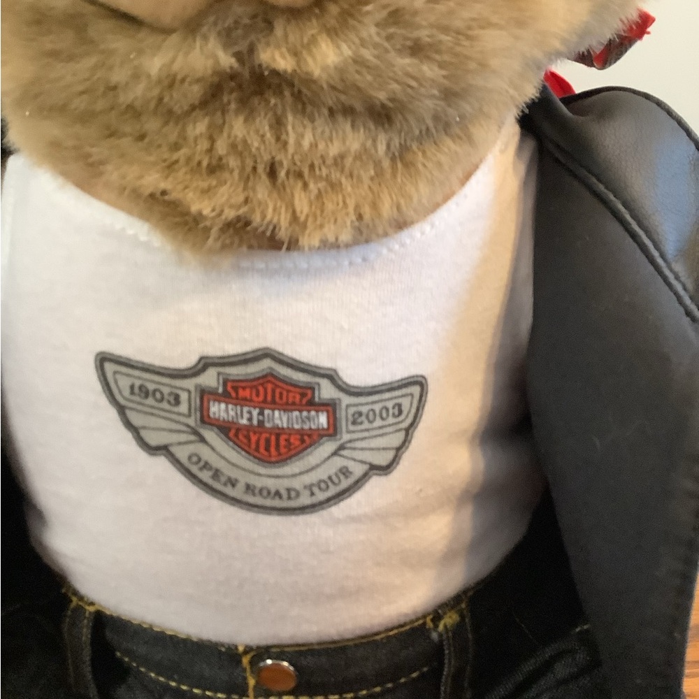 Harley-Davidson Plush Bear 17” - Picture 2 of 6